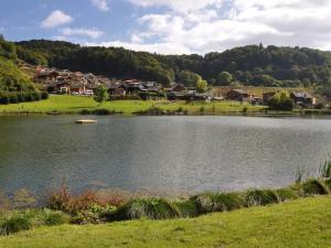 un lac avec des maisons au milieu d'une ville dans l'établissement Log cabin Waldsee 8, à Rieden