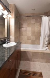 ジャクソンにあるModern Comfort Near Trails and Town in Jacksonの浴槽、洗面台、シャワーを備えたバスルーム