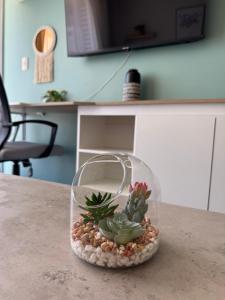 TV a/nebo společenská místnost v ubytování Luminoso estudio para 3 personas en Ovalle