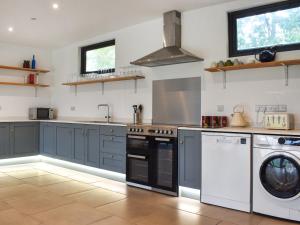 a kitchen with blue cabinets and a washer and dryer at Acre Luxury Lodges-Cedar Lodge in Evenjobb