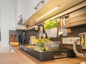 une cuisine avec un comptoir avec des plantes dessus dans l'établissement Bernstein Resort, à Dorf Körkwitz 19 autres photos