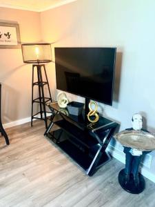 TV a/nebo společenská místnost v ubytování E. Turkeyfoot Whole House