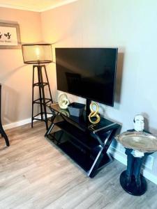 TV a/nebo společenská místnost v ubytování E. Turkeyfoot Whole House