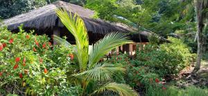 a house with a thatched roof in a garden at Camping-Casa Saco do Ceu in Saco do Ceu