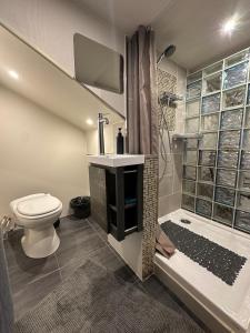 a bathroom with a toilet and a sink and a shower at Spacious house with garden, 15 minutes from Paris in Houilles