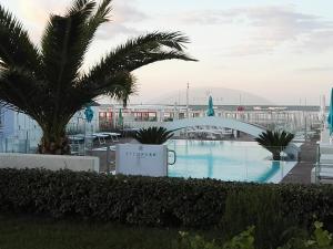 a view of a pool with a bridge and palm trees at Hotel Desire' in Riccione
