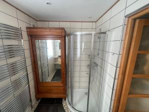 a bathroom with a shower and a mirror at Les Dunes de Longchamp in Saint-Lunaire +12 photos