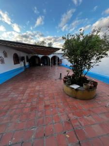 een binnenplaats van een gebouw met een boom in een pot bij Brisas del Cadillar in Tarija