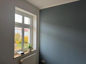 a room with a window and a plant on a window sill at Anger17, Zentrales 2-Zimmer-Apartment in Dessau in Dessau
