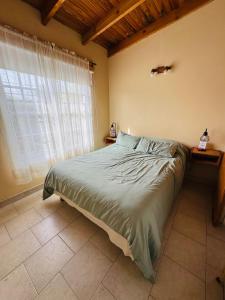 a bedroom with a large bed with a window at Departamento Centro RIOyMAR in Viedma