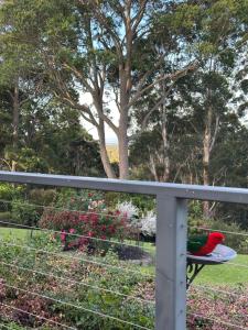 Κήπος έξω από το The Oasis Retreat