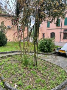 un arbre devant un bâtiment rose dans l'établissement Casa Aurora, à Borgoforte