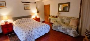 a bedroom with a bed and a mirror on the wall at Le Ptit Cottage in Nyons