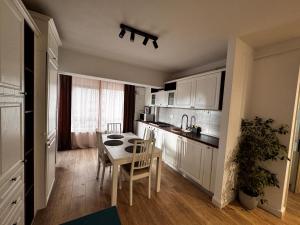 a kitchen with a table and chairs in a room at Newton Flat Apartment in Văleni
