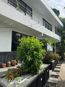 a building with plants in front of it at Casa Bosque Vivo in Norcasia