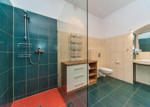 Ένα μπάνιο στο Bielsko Apartments +36 φωτογραφίες