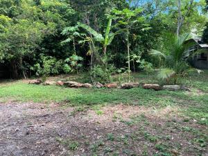 un patio con un montón de piedras en el césped en 1888 North West Xaibe, en Corozal 4 fotos más