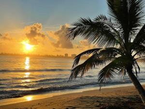 una palmera en la playa con la puesta de sol en Beachfront Spacious Luxury Villa Private Pool, en Playa Fortuna