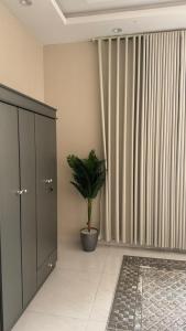 a room with a potted plant next to a large window at شقة غرفة نوم وصالة in Jazan