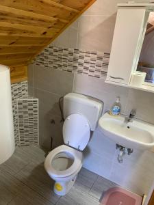 een badkamer met toilet en wastafel bij Apartments Durmitor in Žabljak +179 foto's