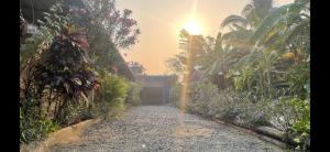 a garden path with flowers and a garage at Chbar mom apartments 