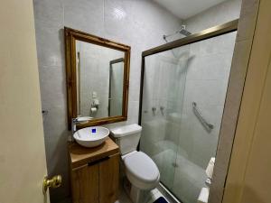a bathroom with a toilet and a sink and a shower at Mini Suits Limpias y Confortables in Villa de Ojinaga