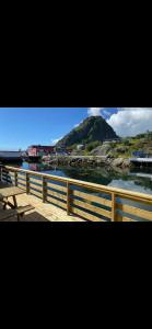 a bench on a boardwalk next to a body of water at Stinebua in Vestvågøya +10 photos
