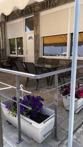 a porch with two potted plants and a table at Sand Blue Nea Peramos in Néa Péramos