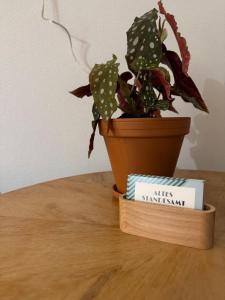 Fotografie z fotogalerie ubytování Wohnen im alten Standesamt High 5 v destinaci Pasewalk