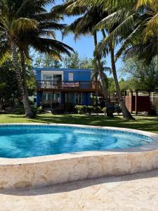 una casa con piscina y palmeras en Beachfront Spacious Home Private Luxury Pool, en Las Coles