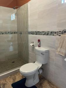 een badkamer met toilet en douche bij 7th Dimension Guesthouse in Zeerust +15 foto's