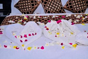 Fotografie z fotogalerie ubytování Barkha Desert Safari Camp Sam Sand Dunes Jaisalmer v destinaci Sām