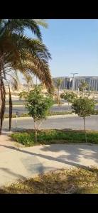 a street with palm trees in front of a building at Al-Saeed Appartments in Cairo