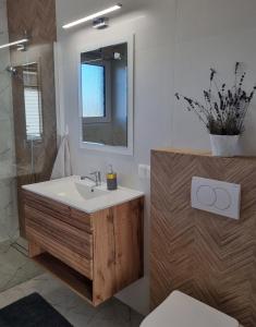 Ένα μπάνιο στο Apartament u Ani +28 φωτογραφίες