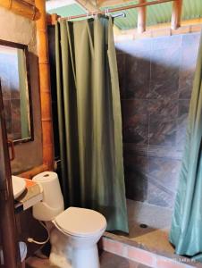 a bathroom with a toilet and a shower curtain at Agüita con Limón Natural Health in Córdoba