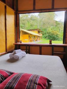 a bedroom with a bed and a large window at Agüita con Limón Natural Health in Córdoba +74 photos