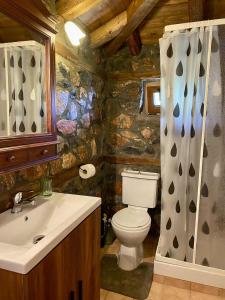 a stone bathroom with a toilet and a sink at Elato Stone House in Panayítsa