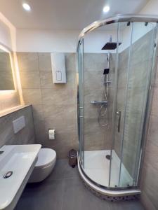 une salle de bains avec douche, toilettes et lavabo dans l'établissement Ruhiges saniertes Apartment bei Hamburg Parkplatz Balkon WLAN, à Reinbek