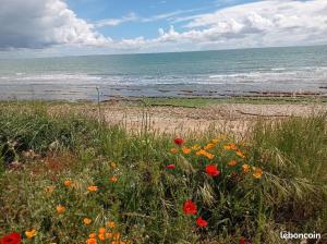 Příroda nedaleko prázdninového domu