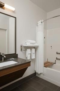 Koupelna v ubytování Fairfield Inn & Suites Grand Rapids Airport