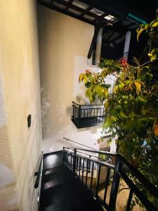 a balcony with a plant next to a building at Harbor Moon in Hiriketiya