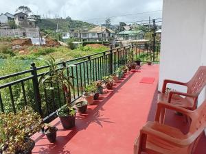 einen Balkon mit einer Reihe von Topfpflanzen in der Unterkunft Villa Serenity Heights in Nuwara Eliya