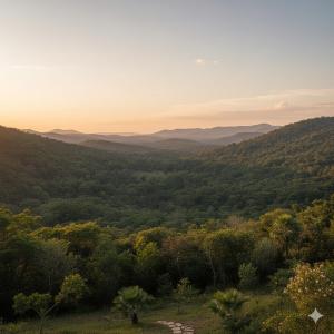 Příroda nedaleko apartmánu