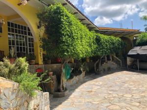 Vườn quanh Hotel Magic Collinn