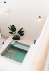 a swimming pool in a white room with a potted plant at Izkina casa hotel centro cozumel in Cozumel +75 photos