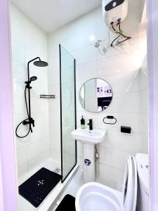 a bathroom with a shower and a toilet and a sink at DipNik Residence in Lagos