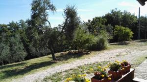Zahrada ubytování Colombaio In Colle