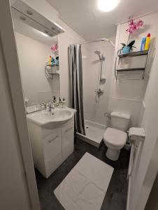 Un baño blanco con inodoro y lavabo. en Klooster Mariadal Maastricht, en Maastricht 22 fotos más