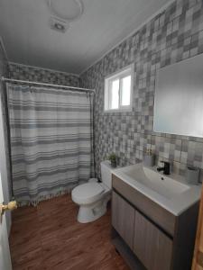 a bathroom with a toilet and a sink at Cabaña Aeropuerto el Tepual 3 in Puerto Montt