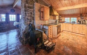 a kitchen with a stove in the middle of it at 4 Bedroom Gorgeous Home In Rjukan in Gaustablikk